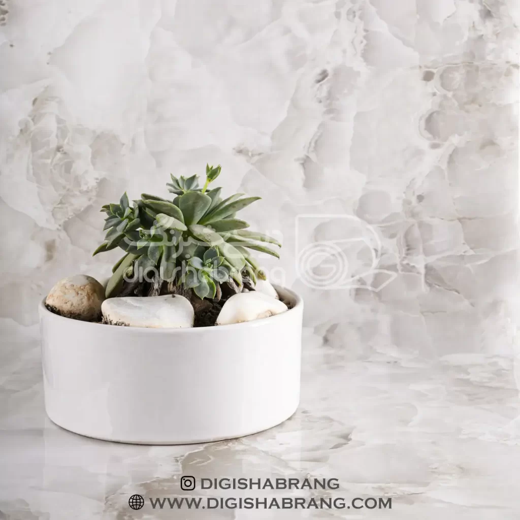 3525 1 ezgif.com optiwebp 1